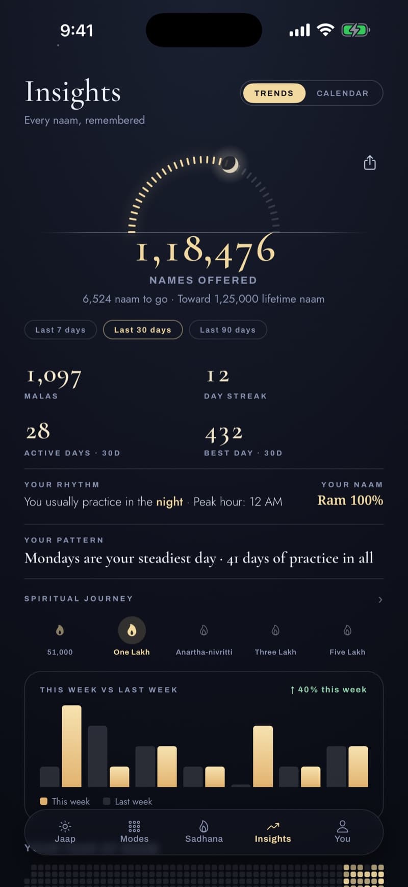 The Insights screen — 118,476 names offered, malas, a 12-day streak, practice rhythm, and the spiritual journey